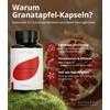 Pomegranate Extract Capsules High Dose 40% Ellagen Acid - Pack