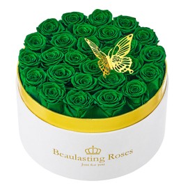 Preserved Roses Forever Flowers Real Roses in a Box Mother's Day Birthday Flowers for Her Mom Women Wife Valentine's Day, Green, 27 Piece