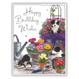 Female Birthday Card for Her - General Card for Women - Dog and Garden Design - Border Collie Puppies in Flower Pots - Special Finishes and Illustrated Insert Leaf - Made in the UK