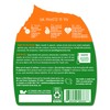 Seventh Generation Natural Laundry Stain Remover, Free & Clear, 16