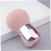 Healeved 3pcs Mushroom Makeup Brush for Loose Powder and Blush