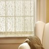 Heritage Lace, White Bristol Garden 60x84 Panel, 60 by 84-Inch