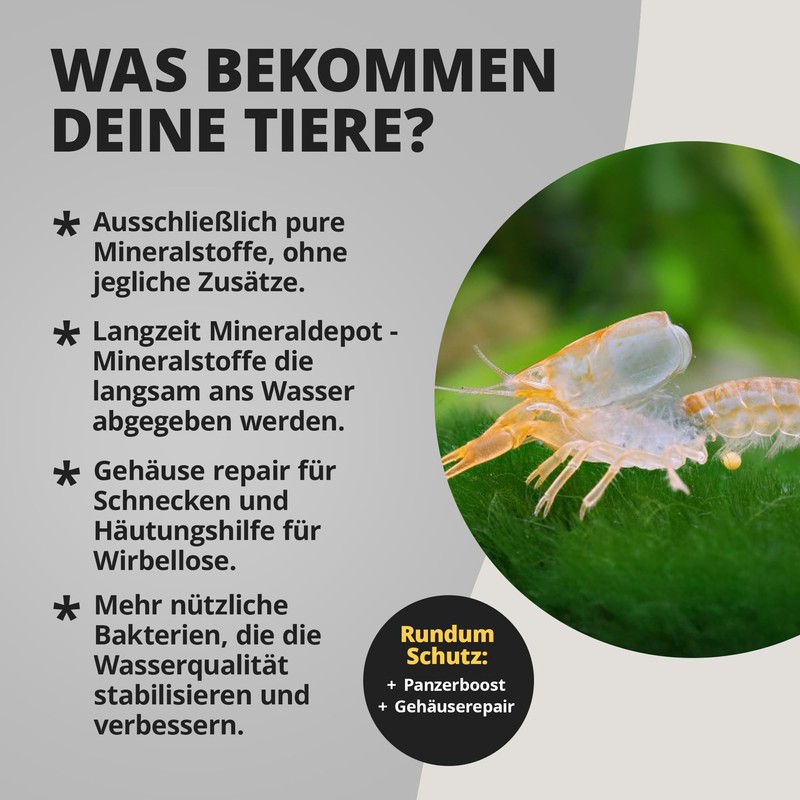 Natural Eholic – Mineral Cube 'Pure' – 47 – Mineral