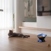 Nihow Slanted Elevated Cat Bowls: 5 Inch Ceramic Raised Cat