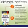 Probiotic 65 Billion - Probiotics with Prebiotic for Women &
