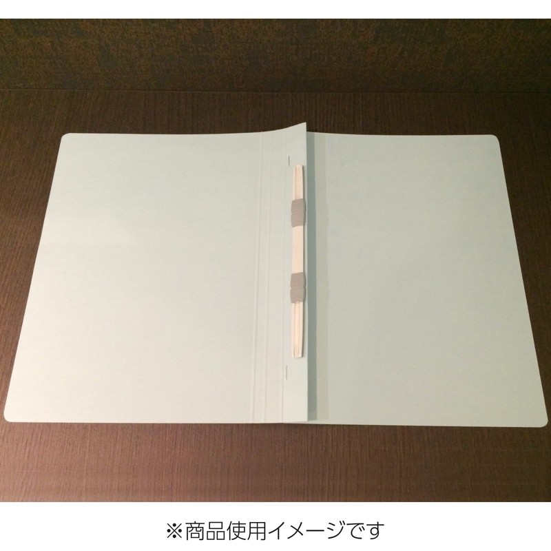 Kokuyo File Flat File S2 A4 Long Edge Binding 4