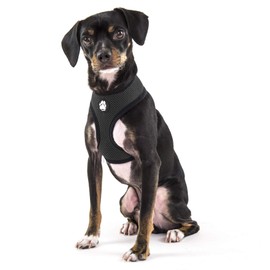 Furhaven Adjustable Padded Mesh Dog Harness - Black, Small