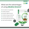 Raw Nutritional Raw Nutritional Alkaline Greens | Pure Organic Greens