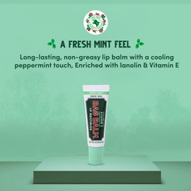 Bag Balm Vermont's Original Bag Balm Moisturizing Lip Balm with Vitamin E | Pack of 4 0.3oz Tubes (4 Pack, Fresh Mint)