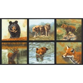 Robert Kaufman Nature Studies 3 ADV 16301 268 Squares Panel 24" Cotton Fabric