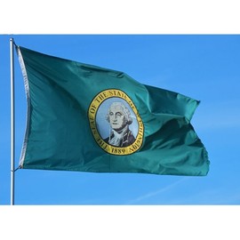 Allied Flag - 2' x 3' Outdoor Nylon Washington State Flag - Made in USA - Vivid Color and Fade Resistant - Reinforced Hem and Brass Grommets