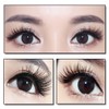 【Cat Eyes】 Feathery 3D Siberian Mink Lashes, 100% Handmade Winged