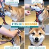 Embark Sports Dog Harness, No Pull Dog Harness with 2