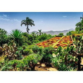 Ravensburger Puzzle 12000853, Beautiful Gardens - Botanical Garden, Madeira - 1000 Pieces Puzzle for Adults and Children from 14 Years