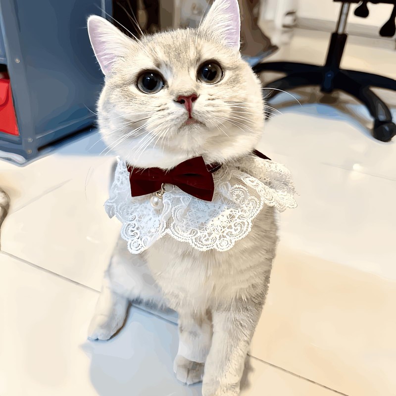 Bonito collar de gato con lazo para gatos y perros