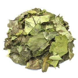(자연초)꾸지뽕 나무잎 300g 국산 구지뽕잎 꾸지뽕차 (Korean Herbal) Kkuji Bong Mulberry Leaf 300g Domestic Kkuji Bong Leaf Kkuji Bong Tea