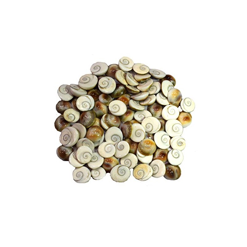 Siddhratan 21 Pieces of Gomti Chakra For wealth health success