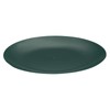 Moderna 10.3 Inch Premium Disposable Plates, 40 Round Plastic Plates