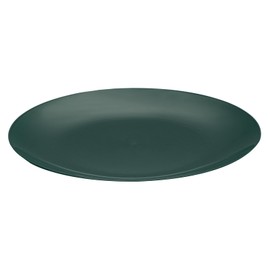 Moderna 10.3 Inch Premium Disposable Plates, 40 Round Plastic Plates For Parties - Durable, Heavy-duty, Forest Green Plastic Dinner Plates, For Warm And Cold Foods, Ideal For Cafes - Restaurantware