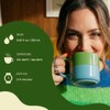 Stash Premium Japanese Style Green Tea - 20 Tea Bags