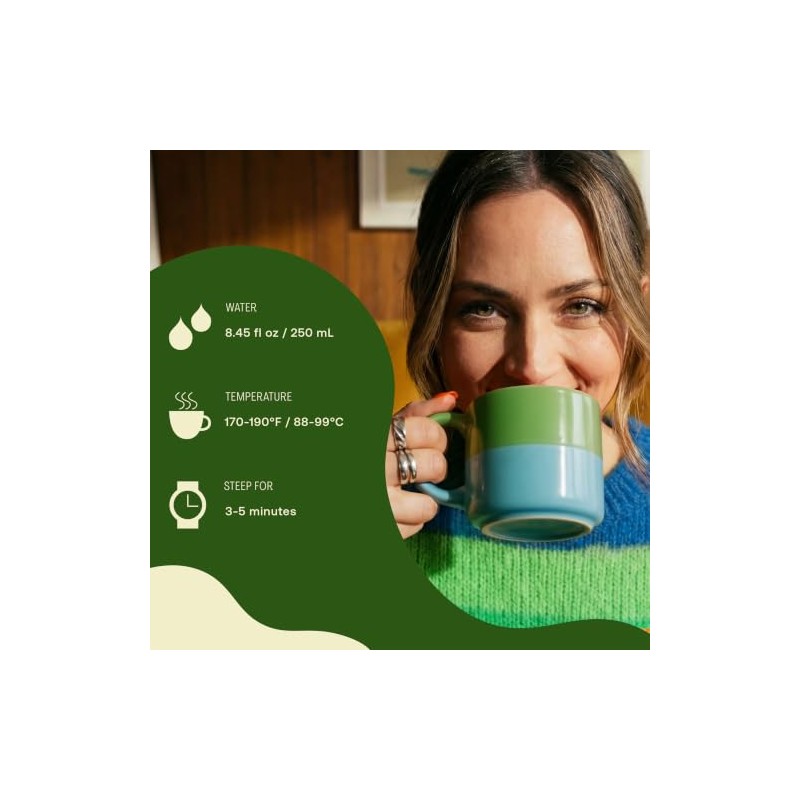 Stash Premium Japanese Style Green Tea - 20 Tea Bags