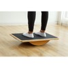 Professional Balance Board for Health and Fitness - Size: Large