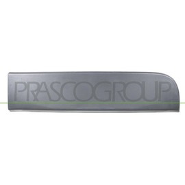 Protective strip door rear left black