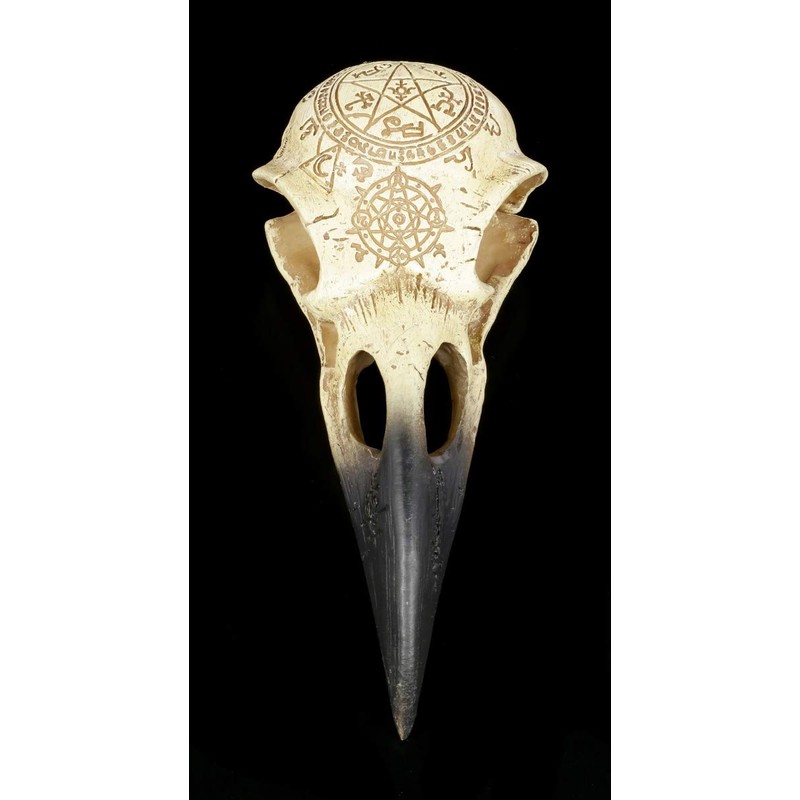 Gamital Alchemy Gothic Raven Skull - Omega | Fantasy Raven