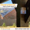 Bee Warehouse - Carpenter Bee Trap - Wood Boring Bee
