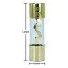 100A AGU Gold Plated Glass Fuse 100 Amp Car Audio
