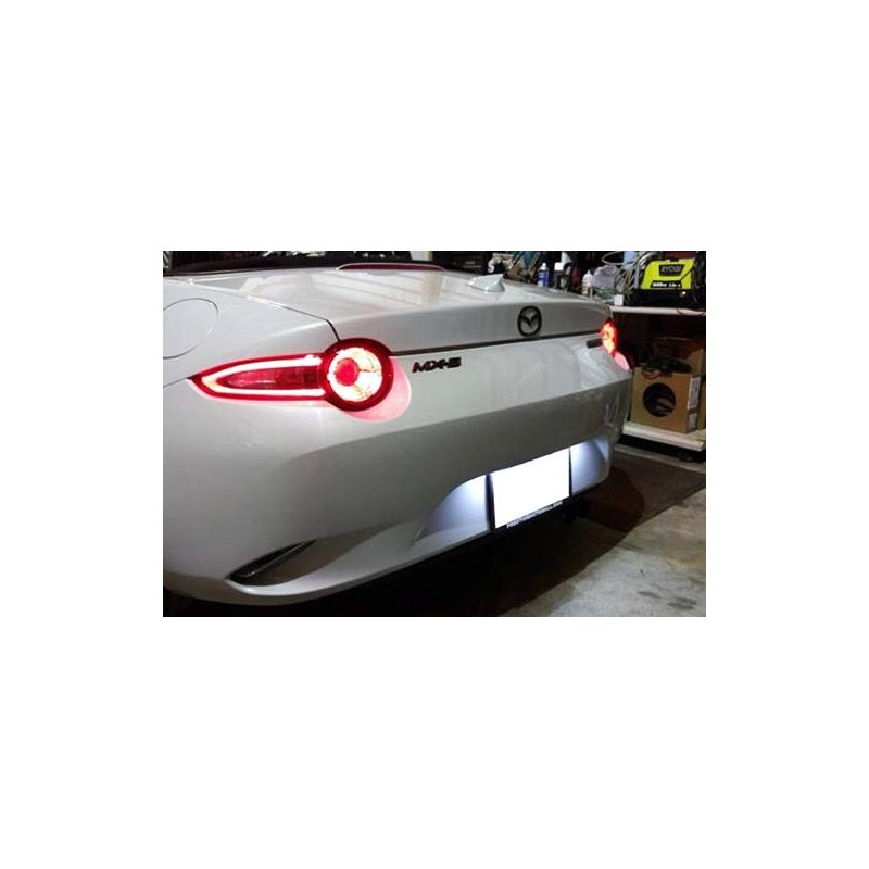 RZG 2x LED Licence Number Plate Light White Canbus For