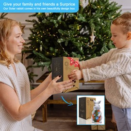 Yeomoo Solar Rabbit Figures Garden Decoration for Outdoors, Rabbit with Succulents Solar Lamp Decoration Bunny Figure Decoration Room Garden Funny Gifts for Women Children Balcony Patio Fairy Garden