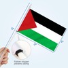 Anley Palestine Mini Flag 12 Pack - Hand Held Small