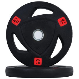 Fitvids standard Cast Iron 1-inch Weight Plate for Strength Training & Weightlifting, Rubber Coate Style, 25lbs, Pair