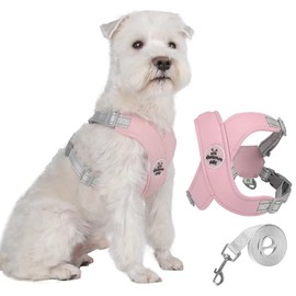 No Pull Dog Harness and Leash Set, Walking Pet Harness with Metal Rings and Handle Adjustable Reflective Breathable,Air Mesh Vest Kit for Small Medium Large Dogs