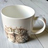 Wrendale Twits (Owl) Single Mug, Bone China Multi-Colour, 9.2 x