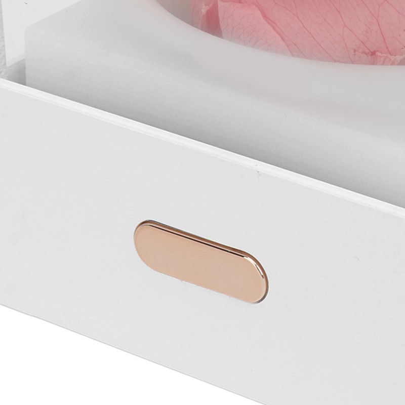 Rose Night Light Romantic Small USB Charging Soft Brightness Decoration