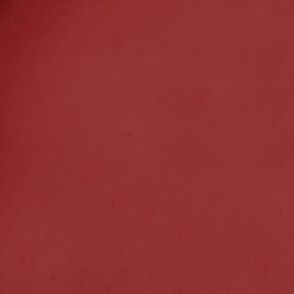 Stargazer Lipstick 127 Bright Red 3.2g - STGSGS178-127