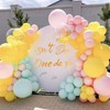 Onederful 1st Birthday Girl Birthday Party Theme Backdrop Sticker Decorations