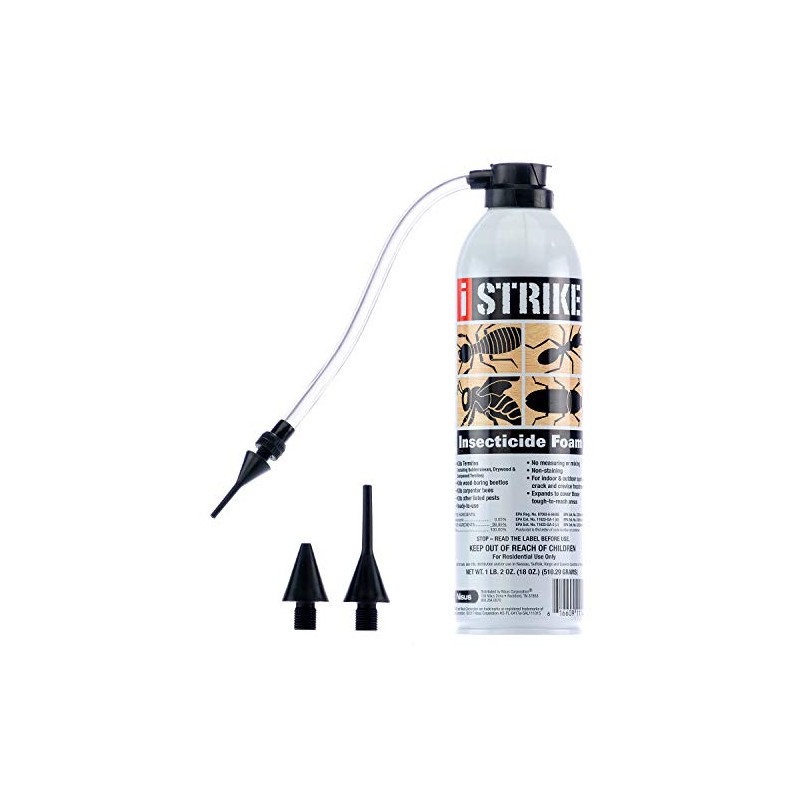 iStrike Insecticide Foam