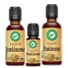 Essential Frankincense Essential Oil Aceite esencial de incienso Aromatherapy Diffuser