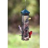 Squirrel Solution200 Squirrel-proof Bird Feeder w/6 Feeding Ports, 3.4-pound Seed