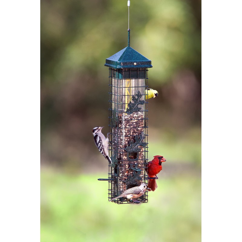 Squirrel Solution200 Squirrel-proof Bird Feeder w/6 Feeding Ports, 3.4-pound Seed