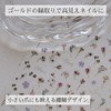 Trekko Nail Seals, Flowers, Nail Parts, Seal, Just Stick, Cute,