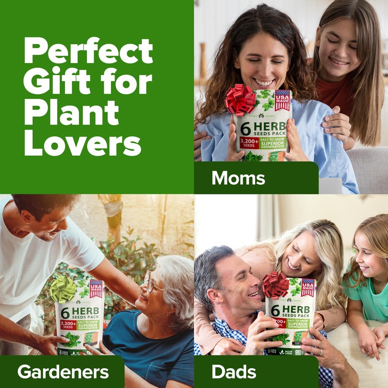 HOME GROWN HOME GROWN 6 Herb Seeds Variety Pack C