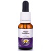 Living Essences Happy Wanderer 15ml