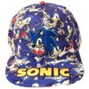 TCB Creations Sonics Hedgehog All Over Print Logo Adjustable Snapback