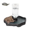 Reptile Water Dispenser, Reptile Turtle Feeding Bowl for Reptiles Turtles
