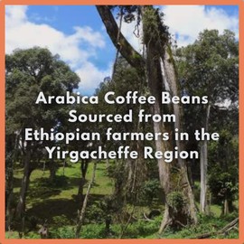 Café Grumpy Ethiopia Farm to Table Yirgacheffe Coffee for French Press, 12oz Bag, Single Origin, Medium Roast, Drip, French Press, Pour Over, Cold Brew (Coarse Grind (French Press))