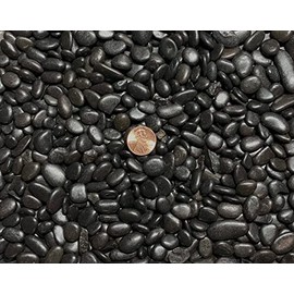 Generic 3 Lbs. Black Polished River Pebbles for Bonsai Tree Humidity Tray, Lucky Bamboo, Fish Tank & Zen/Fairy Garden, BKP3LBS
